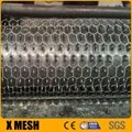 pvc coated hexagonal wire mesh for chicken cages