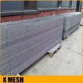 Discount 10 gauge galvanized welded wire mesh for decoration wall 3