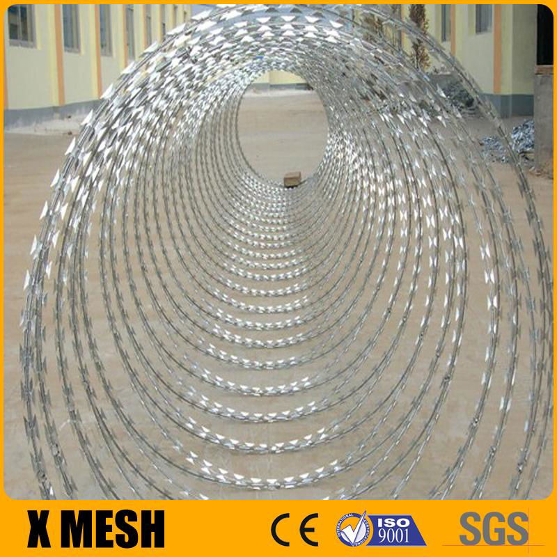 galvanized concertina coil razor wire 2