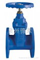 Resilient seat gate valve 1