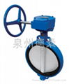 Wafe Resilient Seat Butterfly Valve(Gear
