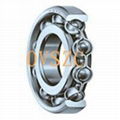 Deep Groove Ball Bearing 1