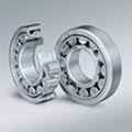 Single row cylindrical roller bearing 3