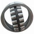 Self aligning roller bearing