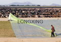 Oxygen Barrier Film for silage cover 4