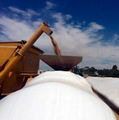 silage bags/silo bag/grain bag