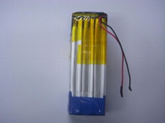 Li Ion Battery Pack