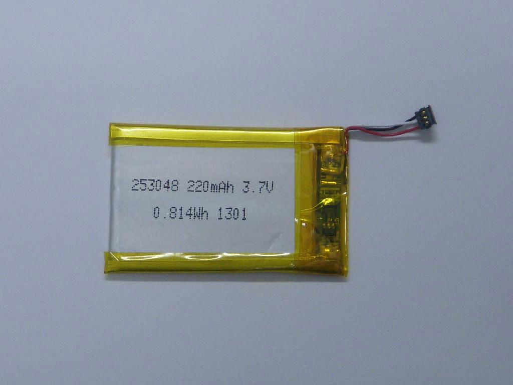 Li Ion Battery Pack 3