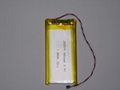 Li Poiymer Battery Pack 2