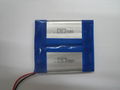 7.4V 240mAh Li Polymer Battery Pack 1