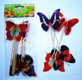 party pick Butterfly 1