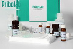 Aflatoxin B1 ELISA Kit