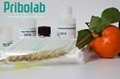Aflatoxin total ELISA Kit