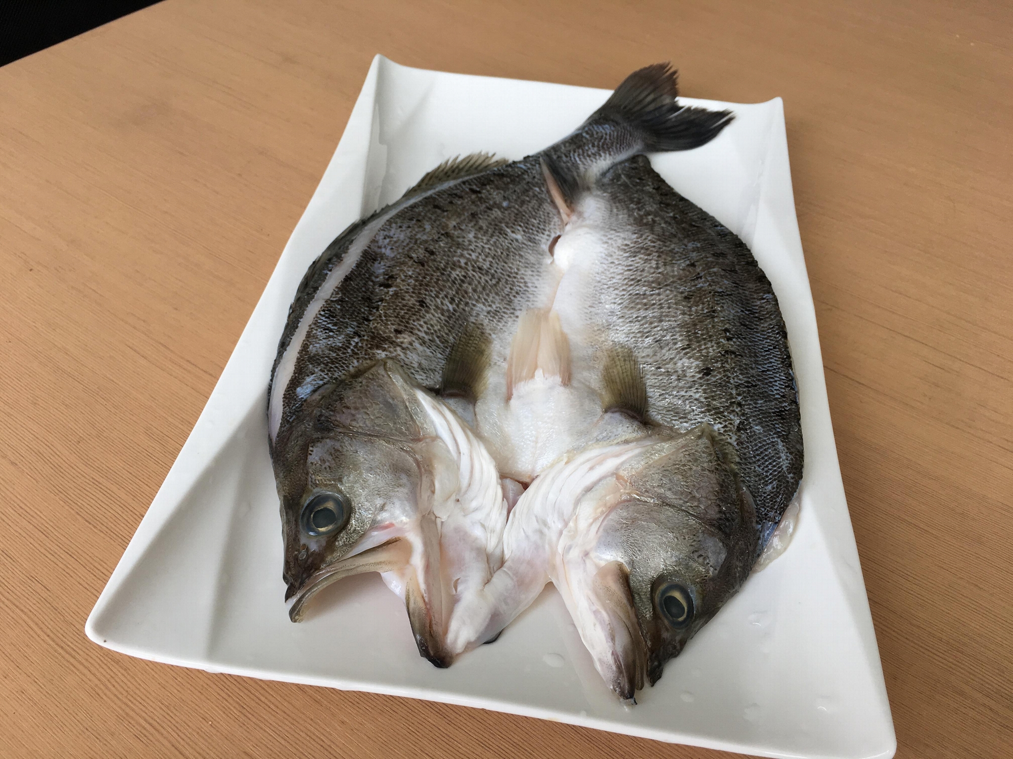 frozen sea bass YH003 (China Trading Company) Aquatic Products