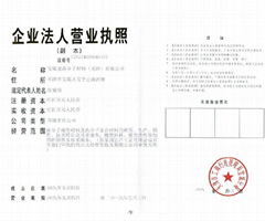 宝瑞龙高分子材料（天津）有限公司