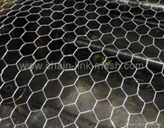 Hexagonal wire mesh