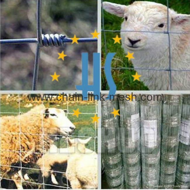 Agricultural Fence/ Prairie fence field fencing for sale/best price field fence