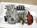 engine fuel injection pump