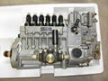 engine fuel injection pump 3