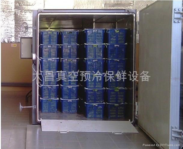 Fruit and vegetable vacuum cooling equipment 2