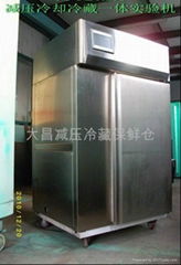 Vacuum refrigerating fresh-keeping warehouse