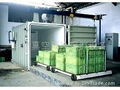 Vegetable preservation vacuum equipment 4