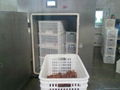 Fast food distribution with cooling vacuum pre-cooling 3