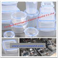 Food container mould