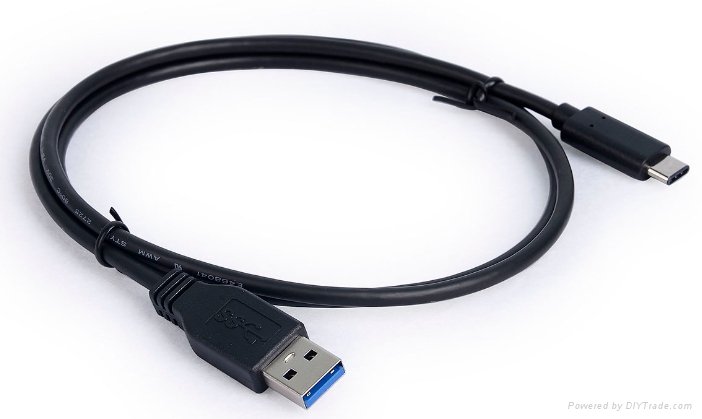 USB 3.1 C TO AM