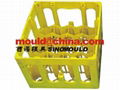 Crate Mould 4