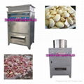 garlic peeling machine for sale