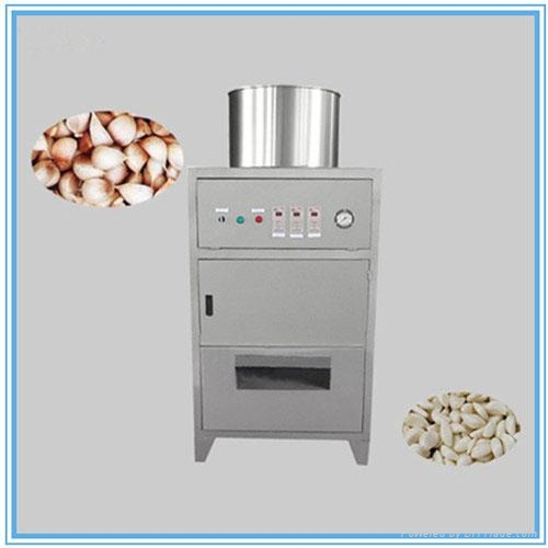 Garlic Peeling Machine AMSST150 AMISY (China Manufacturer) Food