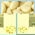 Garlic Peeling Machine 3