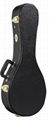 Mandolin guitar case,wooden musical instrument bag 1