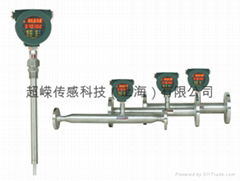 LOSEN SW系列热式气体质量流量计