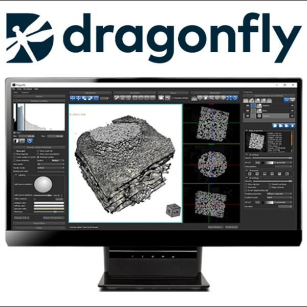  加拿大Dragonfly三维图像分析软件_可选AI深度学习解决方案