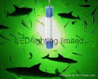 8W LED fishing gear light for lure trap squid trout salmon by fishmen 2