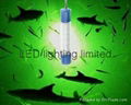 8W LED fishing gear light for lure trap squid trout salmon by fishmen 2