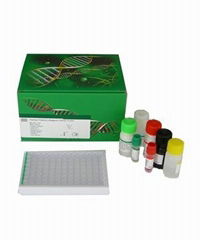 Mouse Elisa Kit for research use