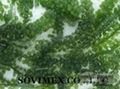 sell Sea Grape sales2ATsovimexcoDOTcom