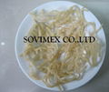 Sell Eucheuma Ecotonii seaweed for