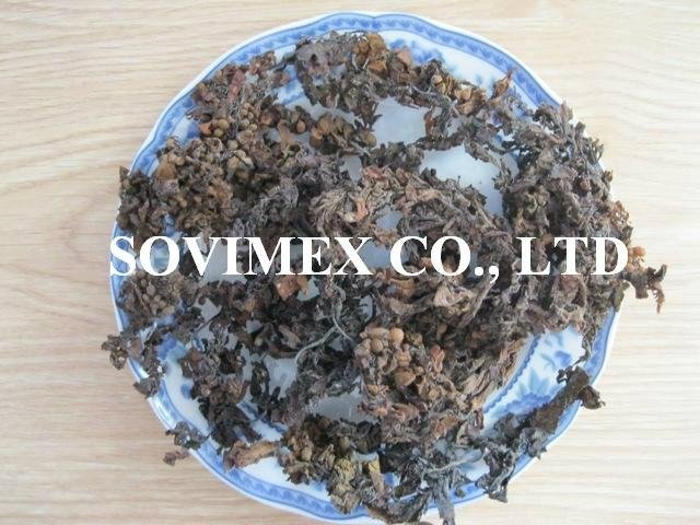 Sell Sargassum seaweed for feed and fertilizer