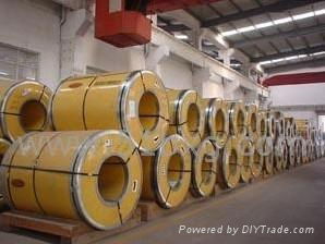 Stainless steel coil