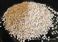 Hulled sesame seeds