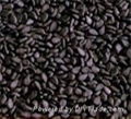 Black sesame seeds 1