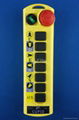 Industrial Radio Remote Control(CUPID Q200)