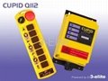 Industrial  radio remote control (CUPID