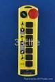 Industrial  radio remote control (CUPID Q112) 2