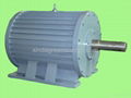 Wind Turbine(Vertical, Horizontal)Permanent Magnet Generator/Alternator(0.1-1000 5