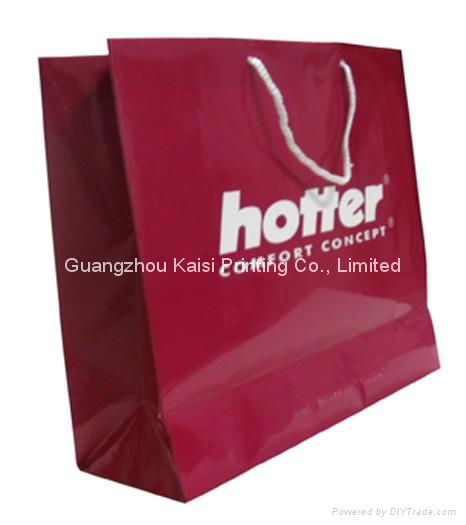 Paper bags printing for gift with cotton handles 3
